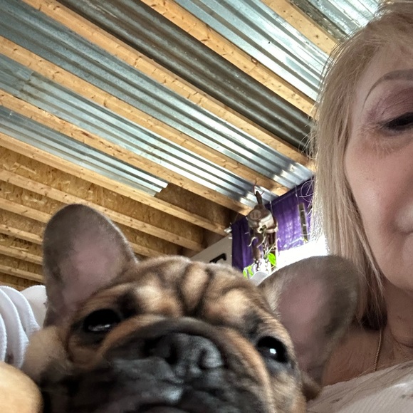 Meet your Posher, Felisa - Picture 2 of 10